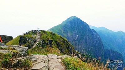 高山草原
