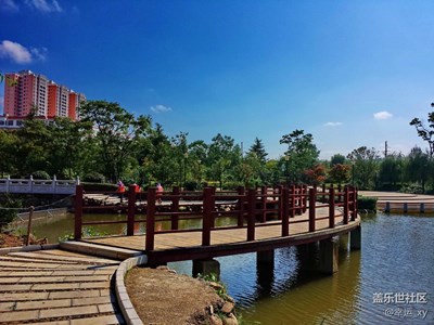 橋