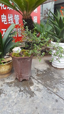 簽