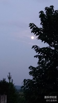 15的月亮