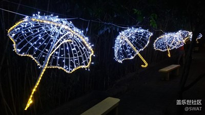 中秋賞燈