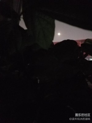 中秋快樂