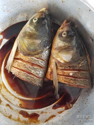 魚頭
