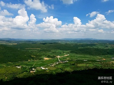 綠色大地