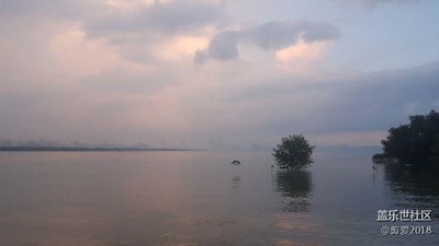 深圳灣公園一景，如夢如幻。