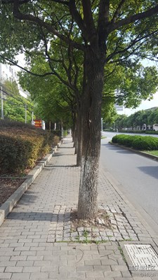 簽