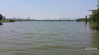 微風(fēng)吹過