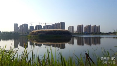 【秋色正濃】+扶溝+公園掠影
