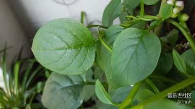 簽