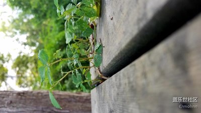 小區(qū)隨拍