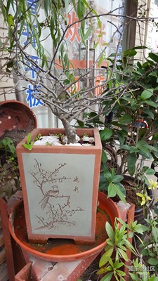簽