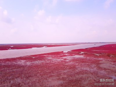 我的自駕之旅——第二站紅海灘廊道（愛(ài)情宣言廊）