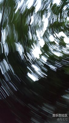 【隨拍】傍晚，小區(qū)內(nèi)的大樹的樹頂
