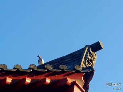 【別樣國(guó)慶】+福鼎+資國(guó)寺