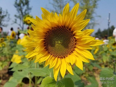 植物園小溜達