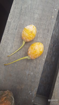 簽