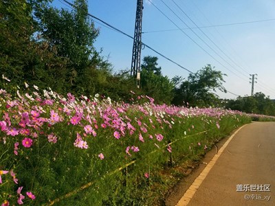 【攝影】花道
