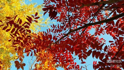 物質(zhì)、精神食量雙豐收