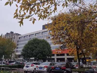 秋意漸濃