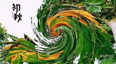 醉