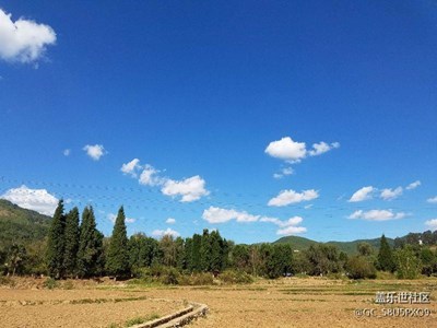 看了大家的分享，我也來(lái)發(fā)幾張