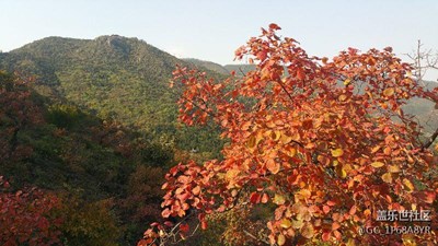 香山