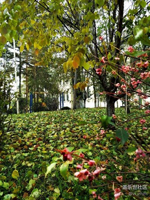 素顏