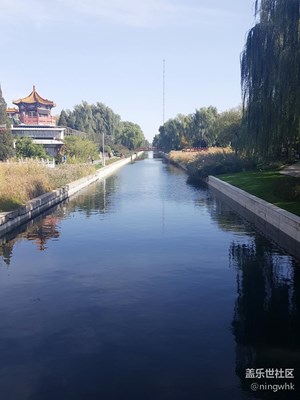 午休的遛彎