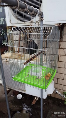 簽