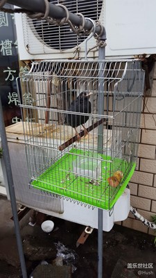 簽