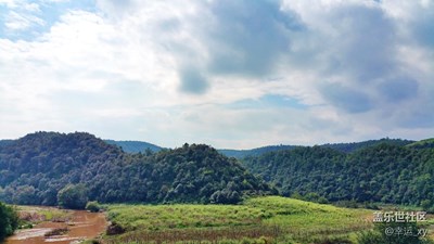 山野