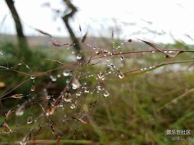 水珠