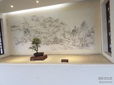 盆景展二