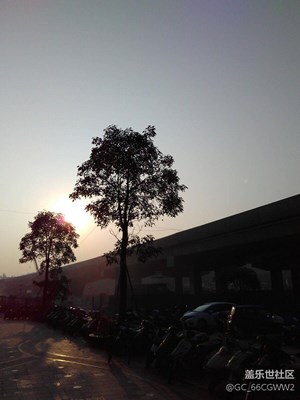 太陽