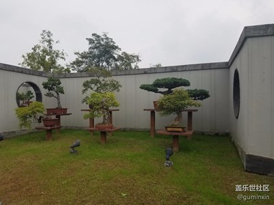 揚州瘦西湖盆景展