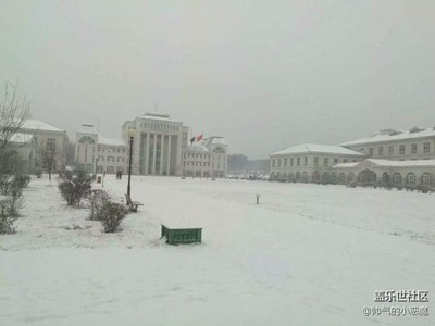 我的大學(xué)