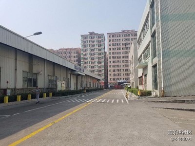 隨手拍