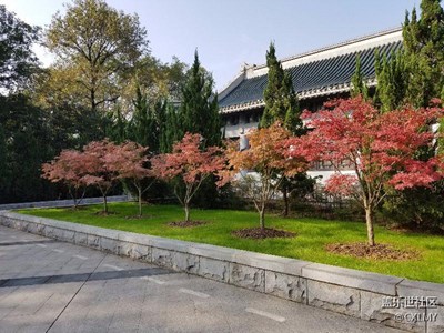 首義公園