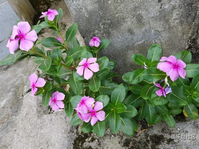 曬曬