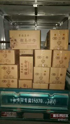 賣橙子