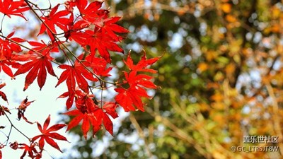 南京棲霞山秋景，秋意正濃，景色宜人
