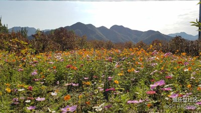 懷柔九渡河
