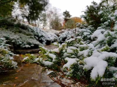 北京初雪現(xiàn)外拍差點沒凍死~團結(jié)湖公園的雪景美cry！~