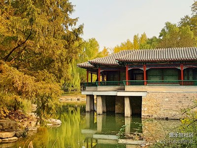 【霜葉紅于二月花】+北京+中山公園銀杏古道，潑金嵌紅的誘惑