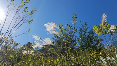 黃洋界