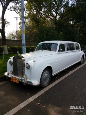 數(shù)個月來看見的豪車