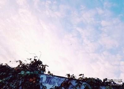 來一組成都美院教學(xué)樓頂?shù)娘L(fēng)景