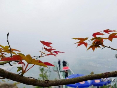 煙雨江南
