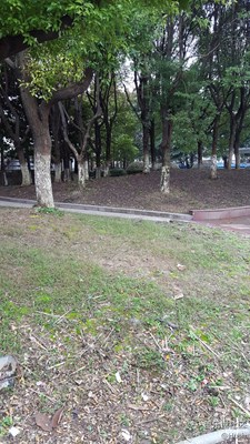 簽