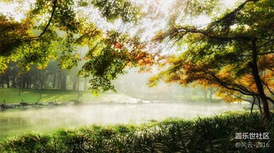 秋色黃，情醉太子灣